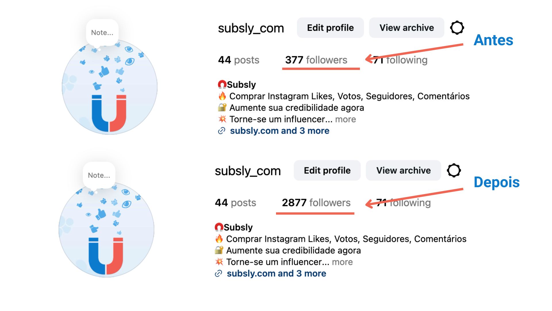 Seguidores Brasileiros